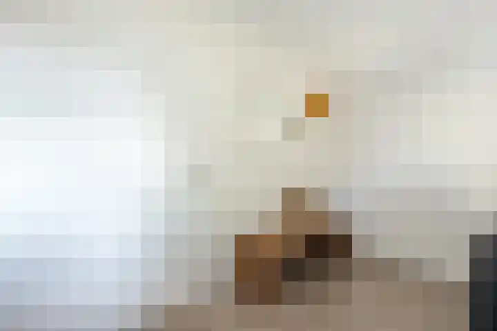 Oostdijk 31 Sommelsdijk thumbnail 21
