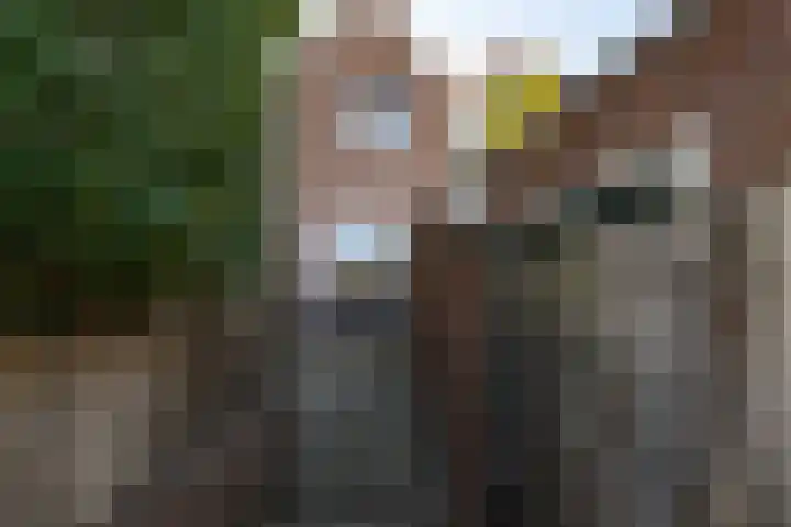 Oostdijk 31 Sommelsdijk thumbnail 26