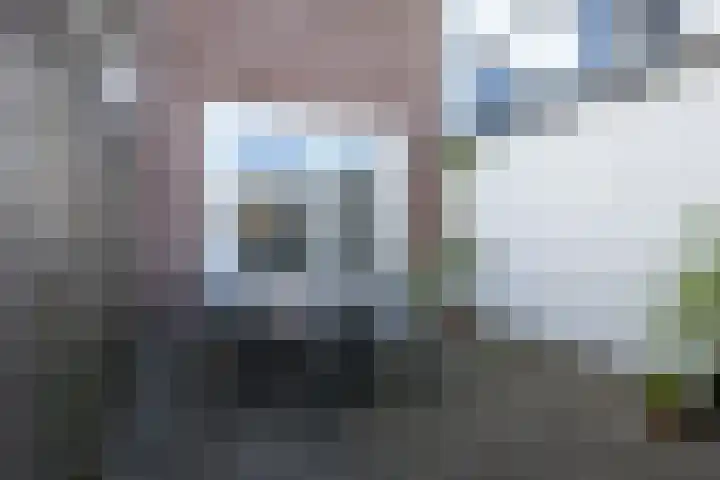 Oostdijk 31 Sommelsdijk thumbnail 27