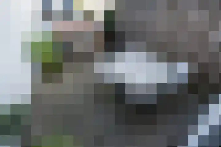 Oostdijk 31 Sommelsdijk thumbnail 28