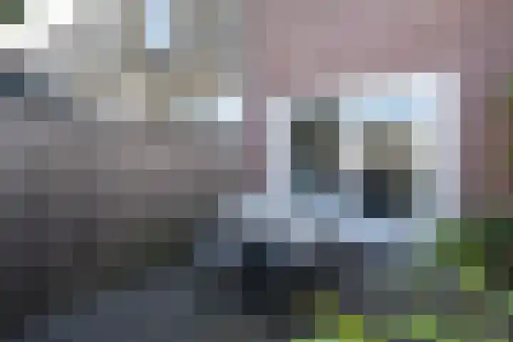 Oostdijk 31 Sommelsdijk thumbnail 30