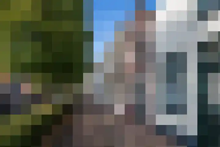 Oostdijk 31 Sommelsdijk thumbnail 31