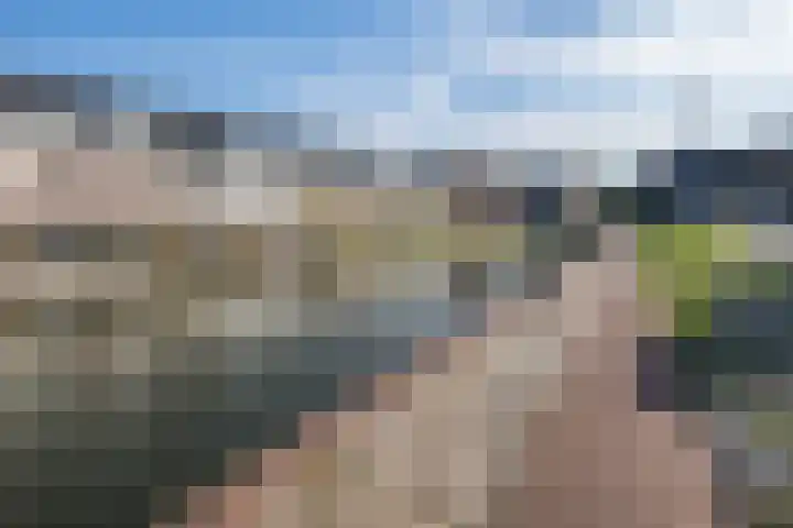 Oostdijk 31 Sommelsdijk thumbnail 32