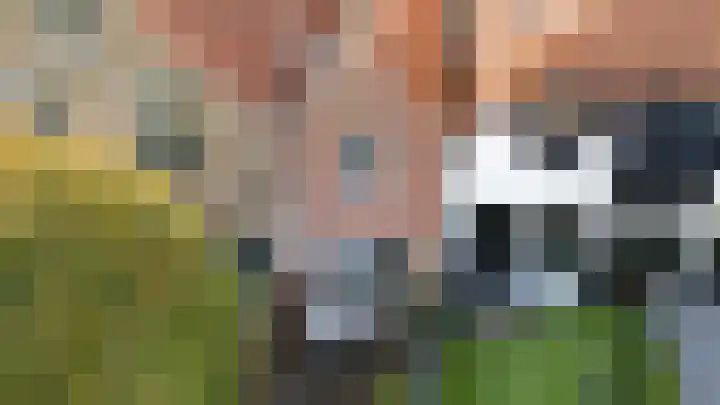 Oostdijk 31 Sommelsdijk thumbnail 33