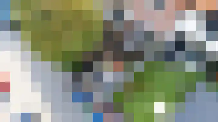 Oostdijk 31 Sommelsdijk thumbnail 5