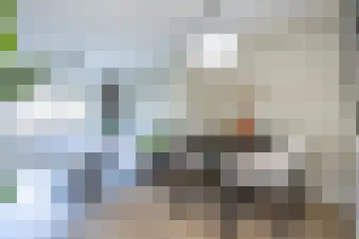 Oostdijk 31 Sommelsdijk thumbnail 8