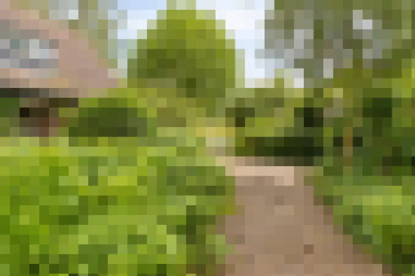 Oostdijk 33 Heerhugowaard thumbnail 34