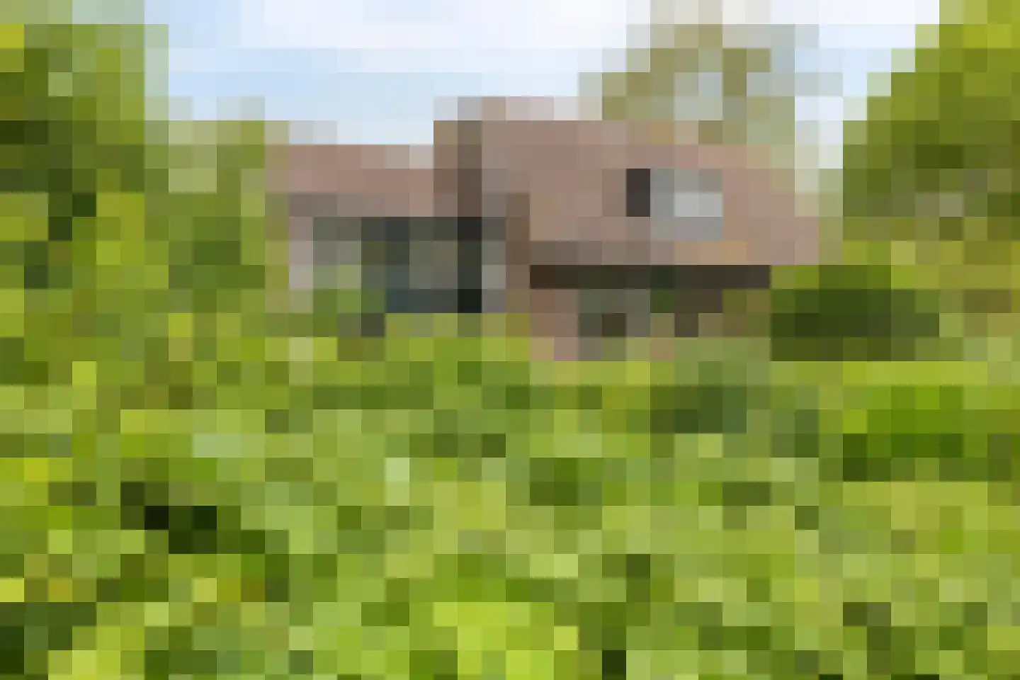 Oostdijk 33 Heerhugowaard thumbnail 35