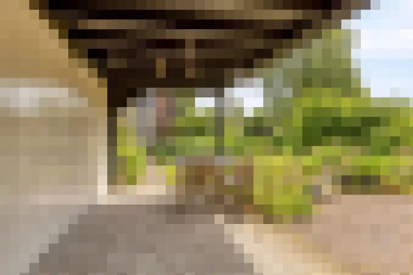 Oostdijk 33 Heerhugowaard thumbnail 39