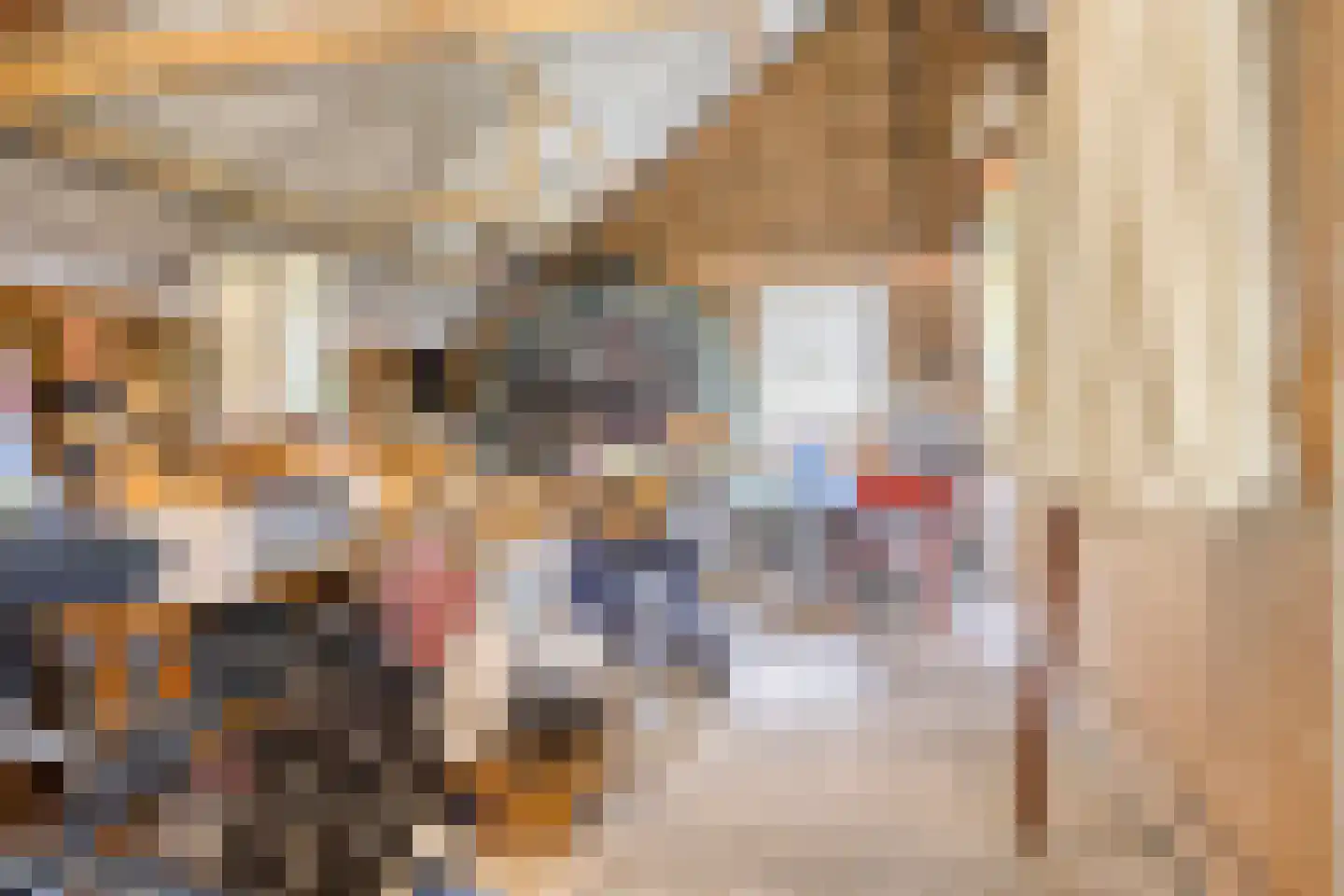 Oostdijk 33 Heerhugowaard thumbnail 41