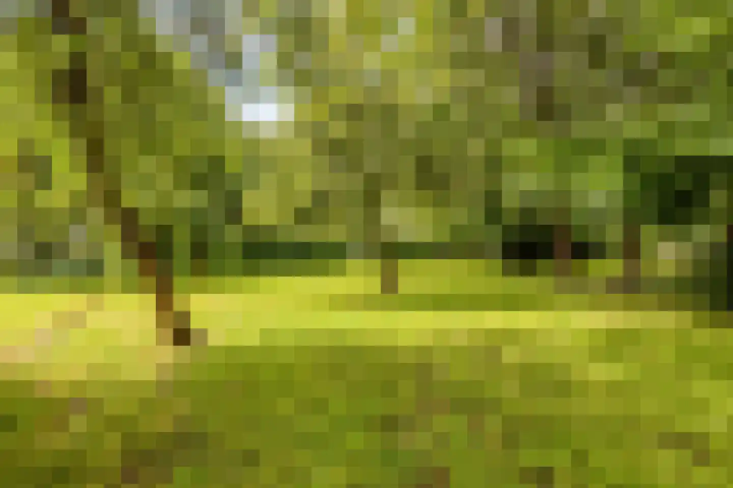 Oostdijk 33 Heerhugowaard thumbnail 43