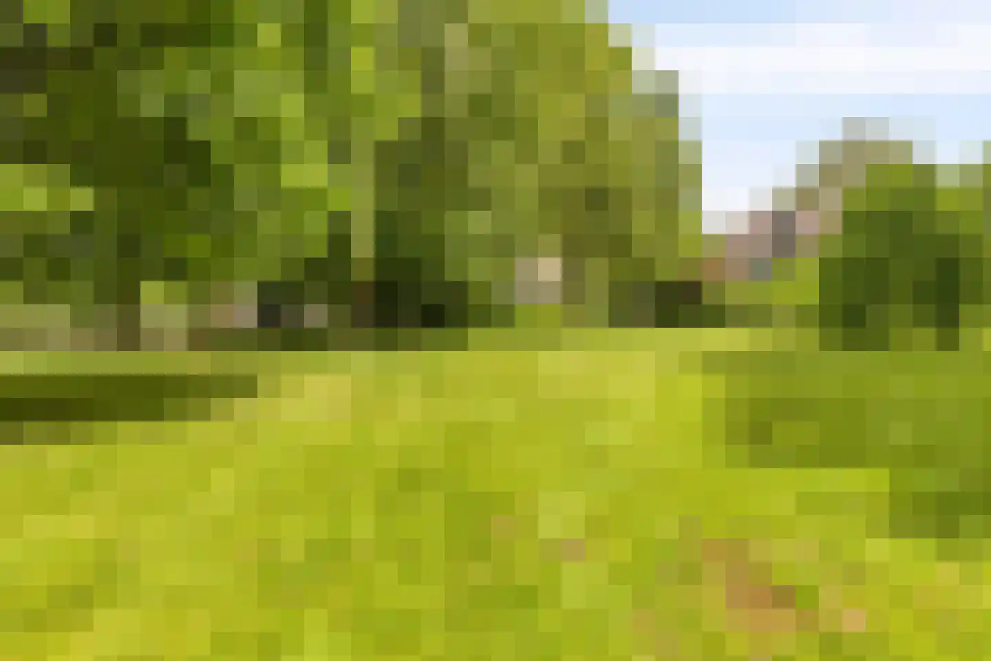 Oostdijk 33 Heerhugowaard thumbnail 44