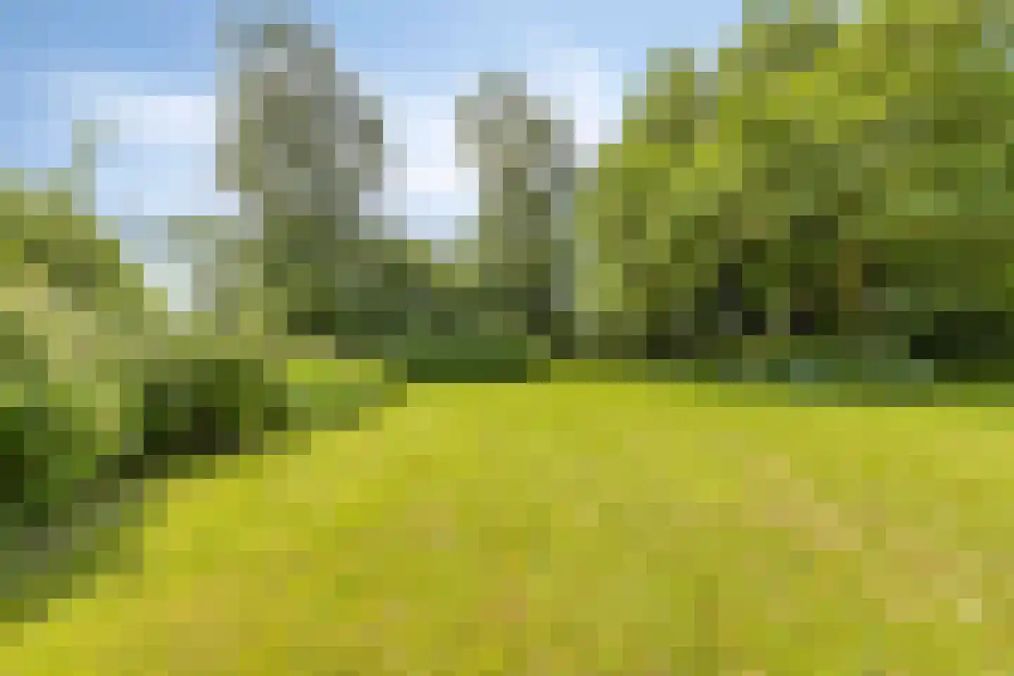 Oostdijk 33 Heerhugowaard thumbnail 47