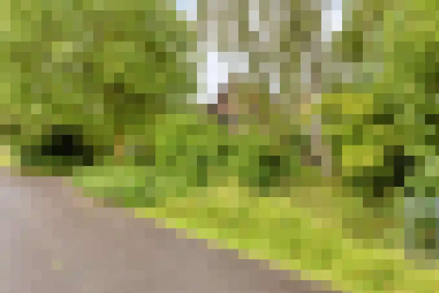 Oostdijk 33 Heerhugowaard thumbnail 56