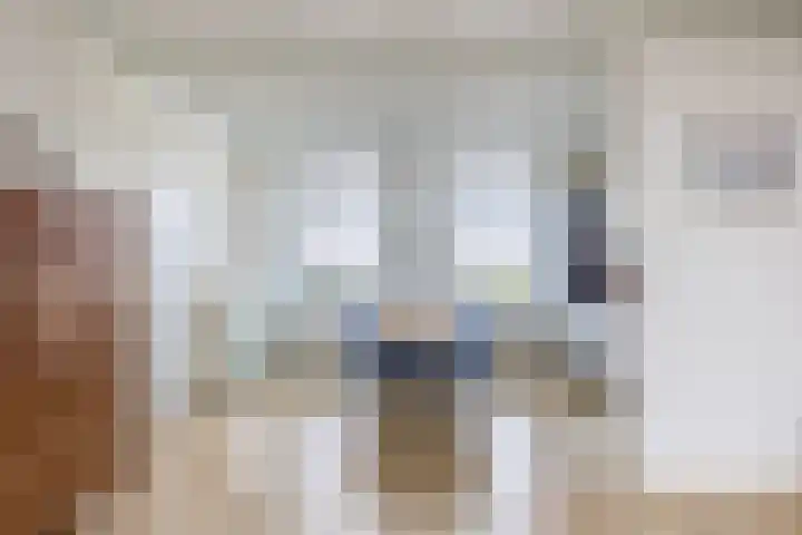 Oostdijk 33 Sommelsdijk thumbnail 13