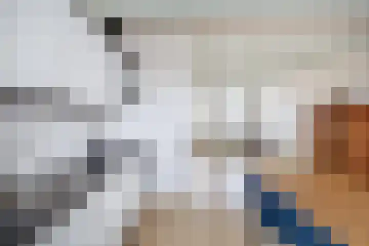 Oostdijk 33 Sommelsdijk thumbnail 15