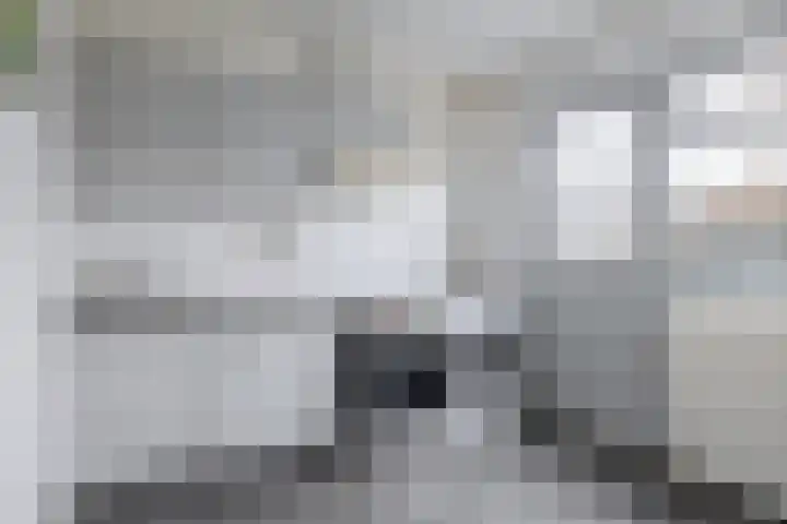 Oostdijk 33 Sommelsdijk thumbnail 17