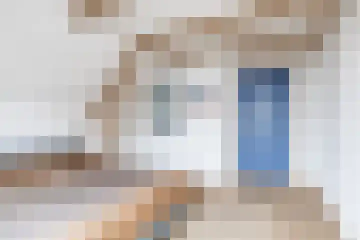 Oostdijk 33 Sommelsdijk thumbnail 21