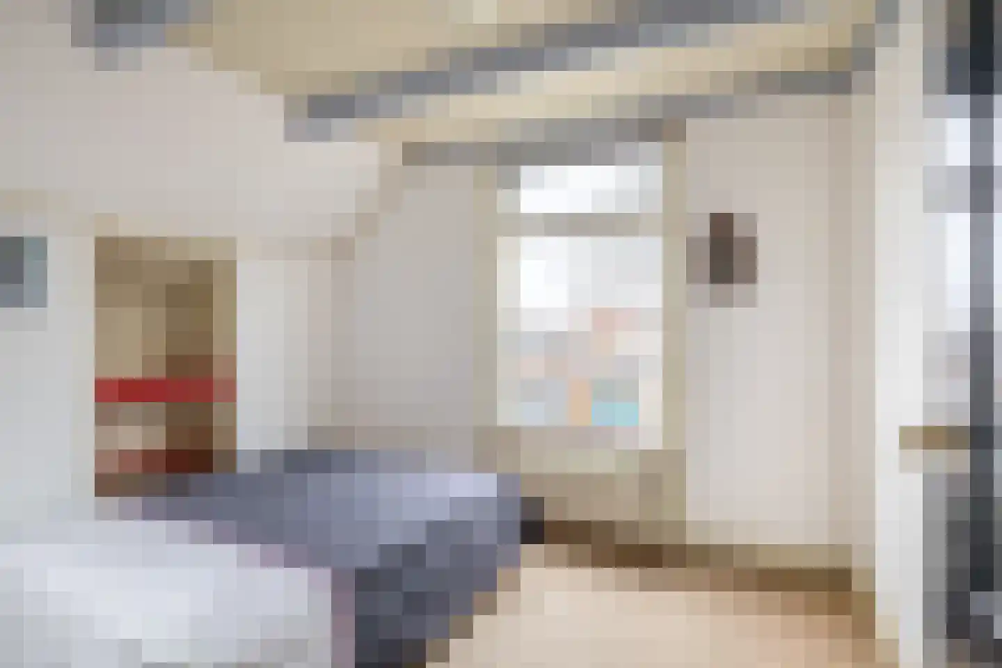 Oostdijk 33 Sommelsdijk thumbnail 24