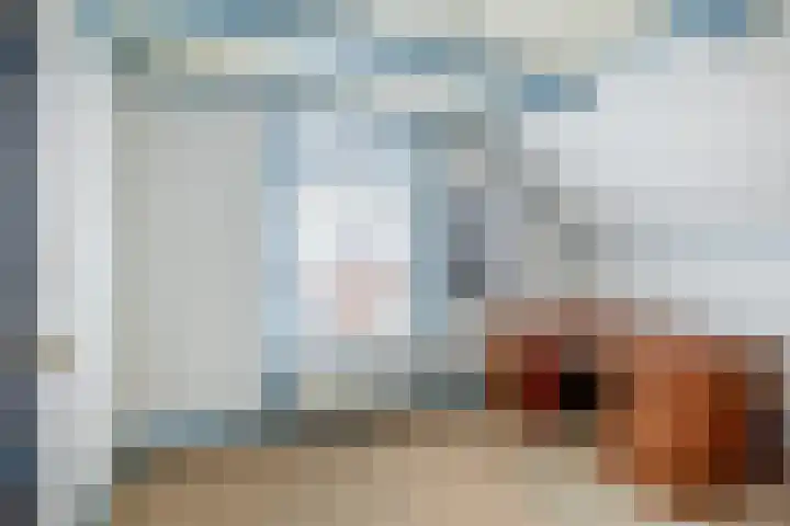 Oostdijk 33 Sommelsdijk thumbnail 24
