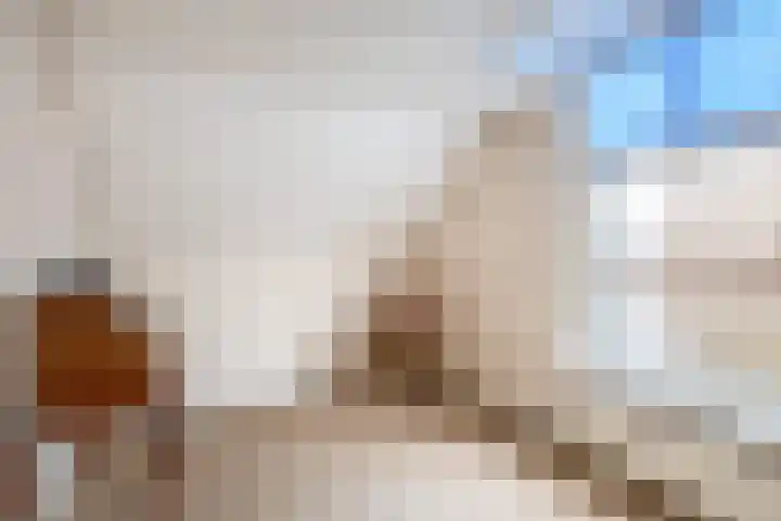 Oostdijk 33 Sommelsdijk thumbnail 25
