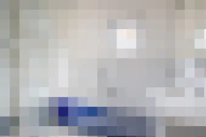 Oostdijk 33 Sommelsdijk thumbnail 27
