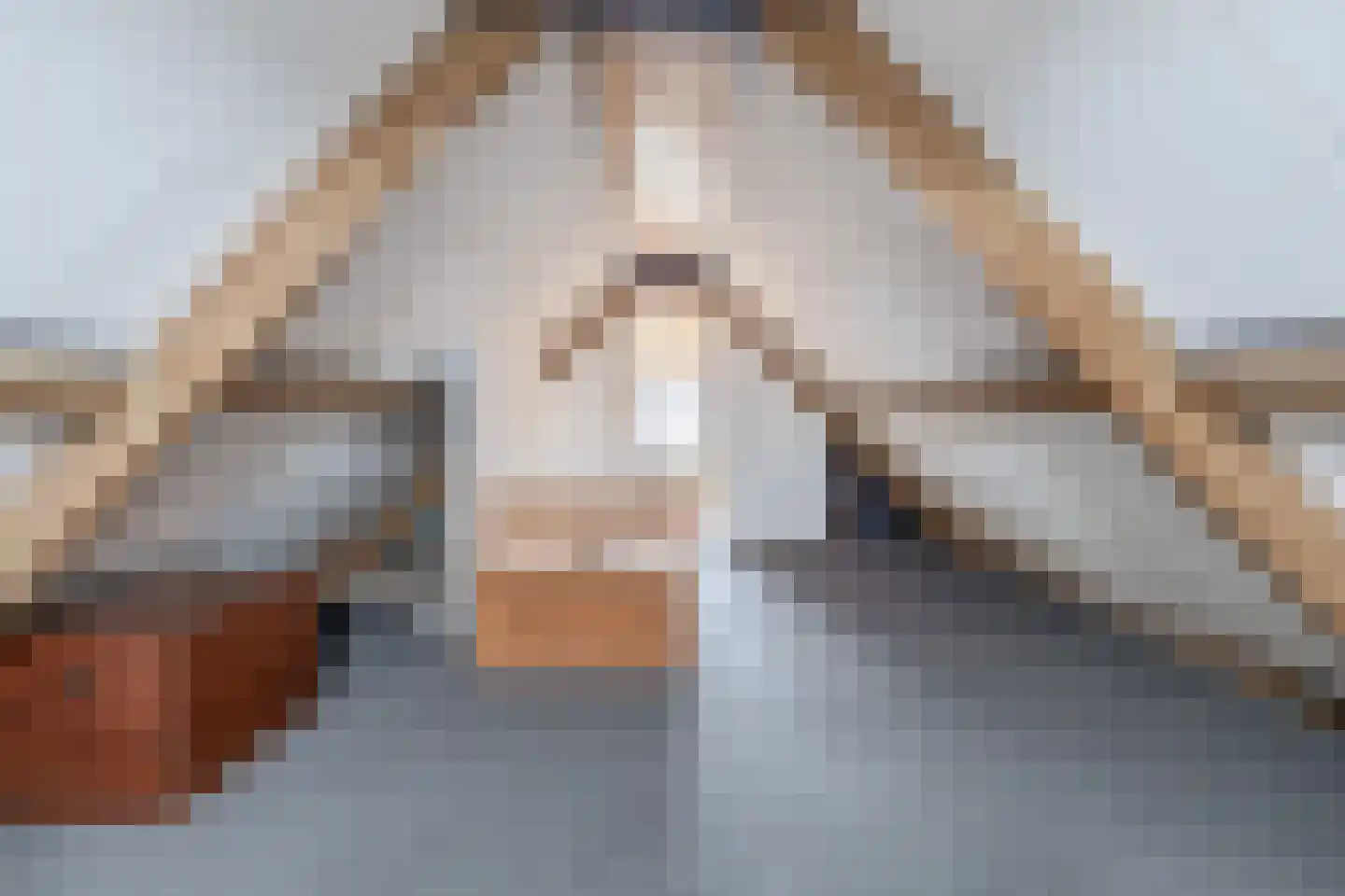 Oostdijk 33 Sommelsdijk thumbnail 30