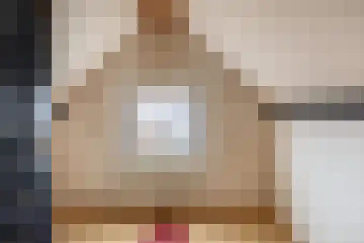 Oostdijk 33 Sommelsdijk thumbnail 31