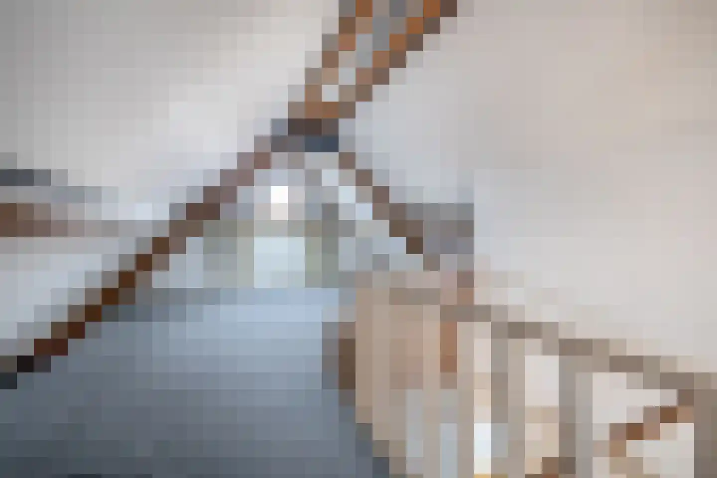 Oostdijk 33 Sommelsdijk thumbnail 31