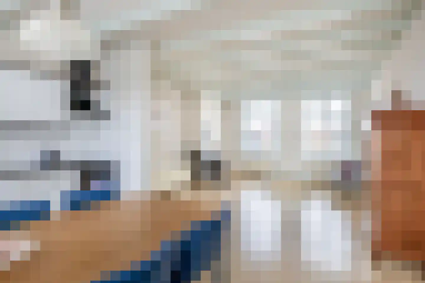 Oostdijk 33 Sommelsdijk thumbnail 4