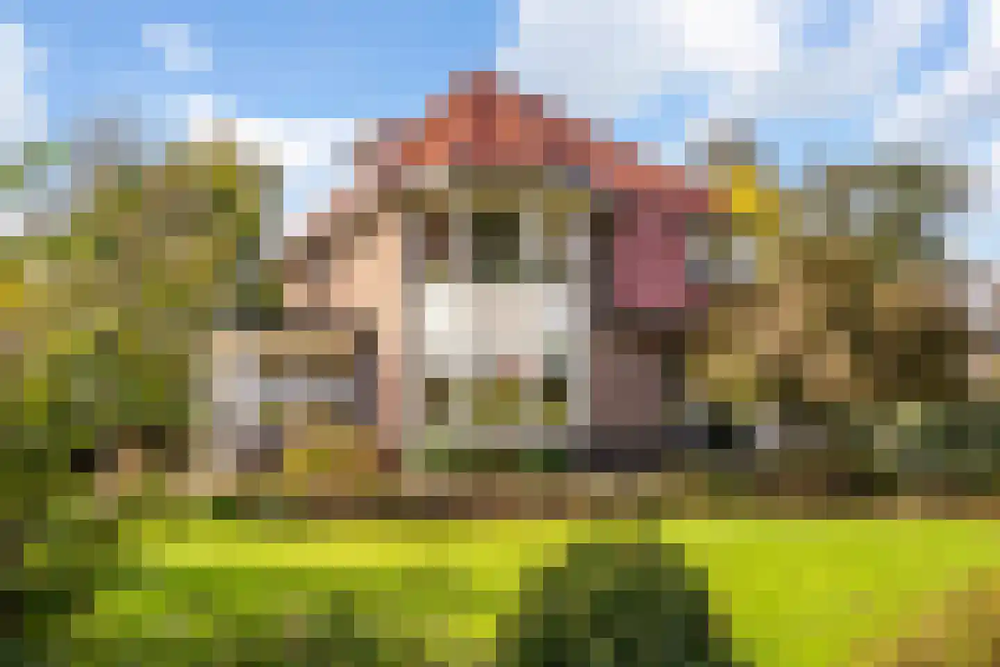 Oostdijk 43 Sint Philipsland