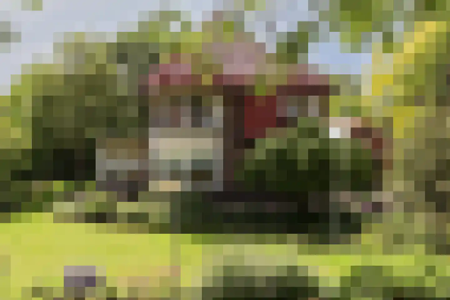 Oostdijk 43 Sint Philipsland thumbnail 5