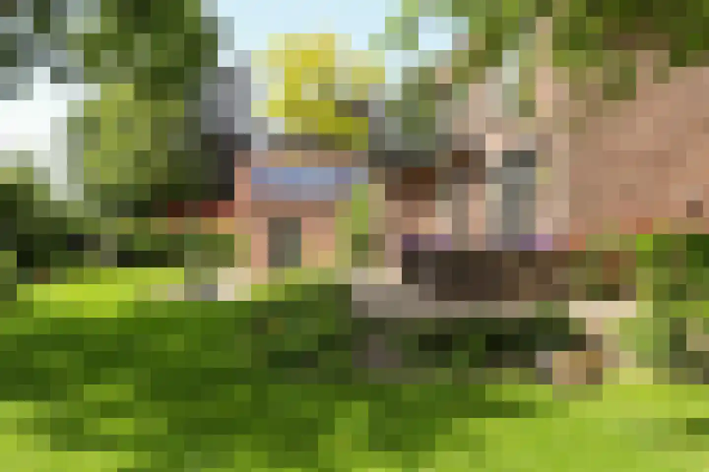 Oostdijk 43 Sint Philipsland thumbnail 51