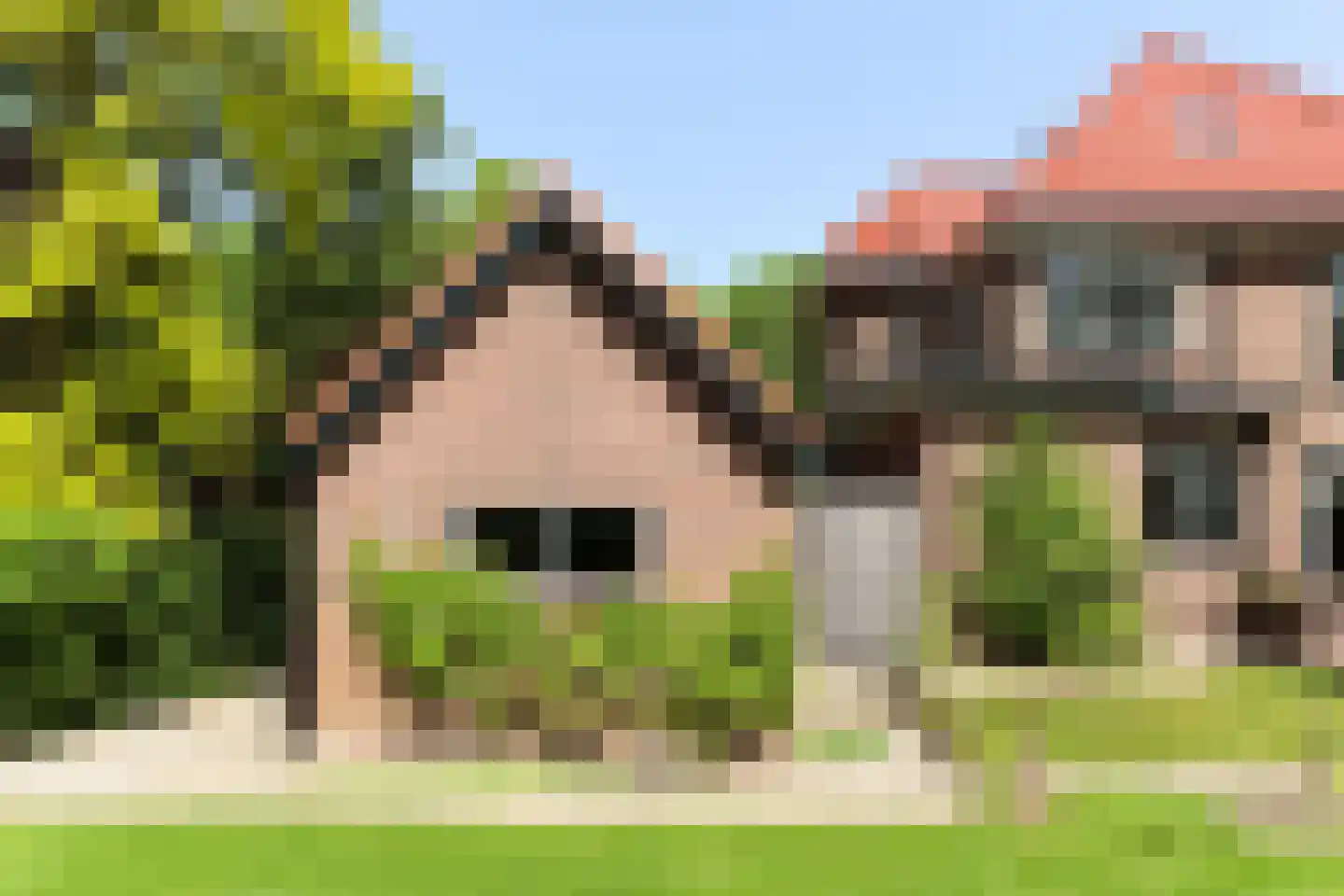 Oostdijk 43 Sint Philipsland thumbnail 53