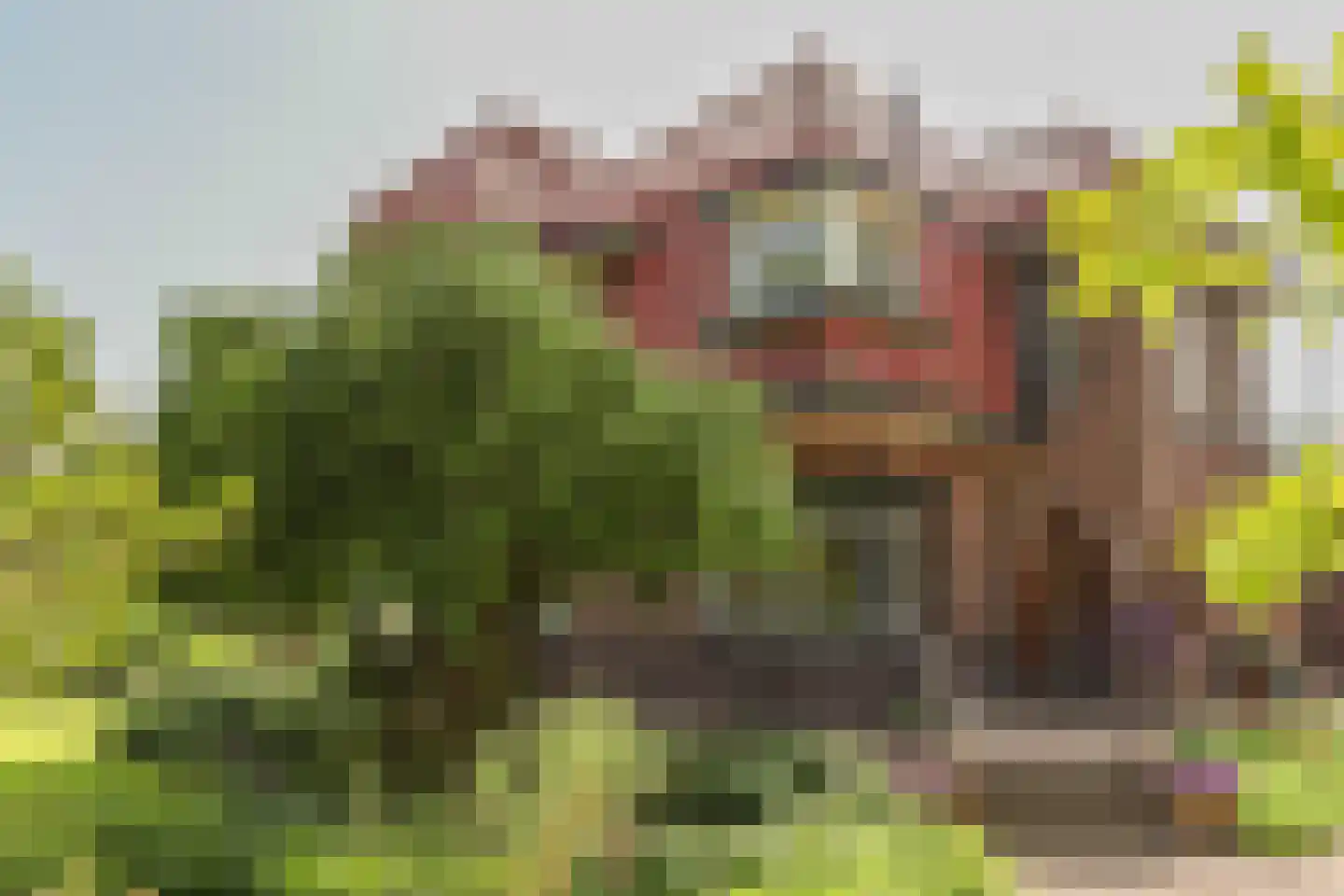 Oostdijk 43 Sint Philipsland thumbnail 6