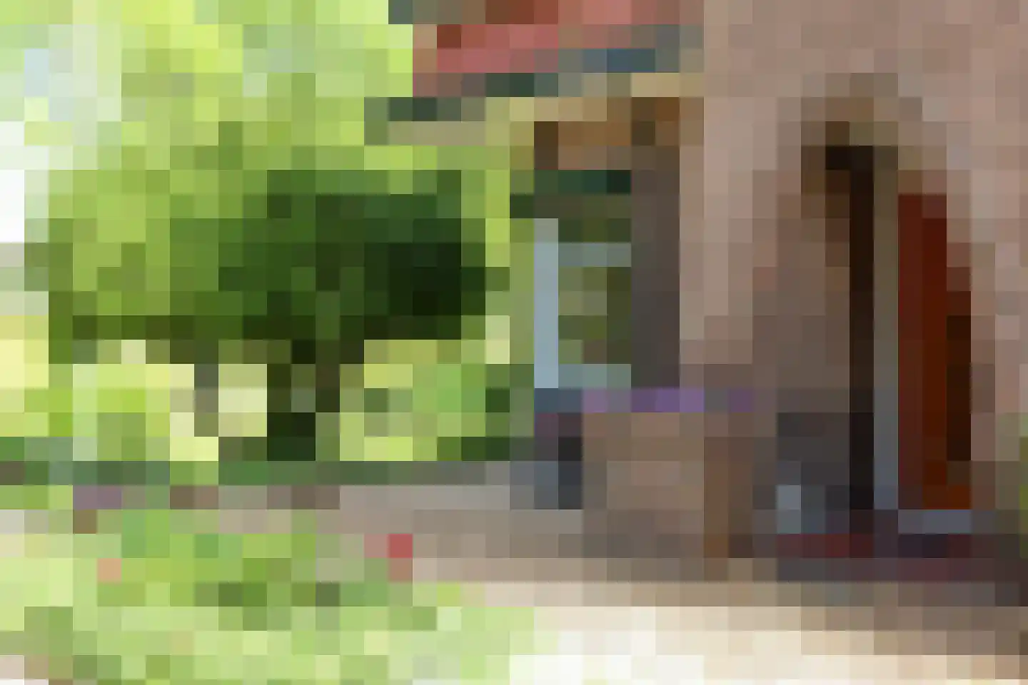 Oostdijk 43 Sint Philipsland thumbnail 7