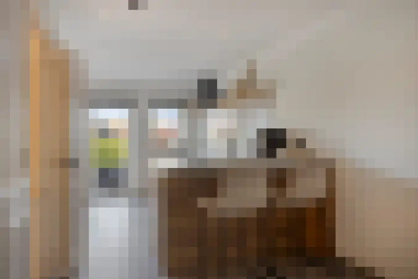 Oostdijk 45 Middelharnis thumbnail 15