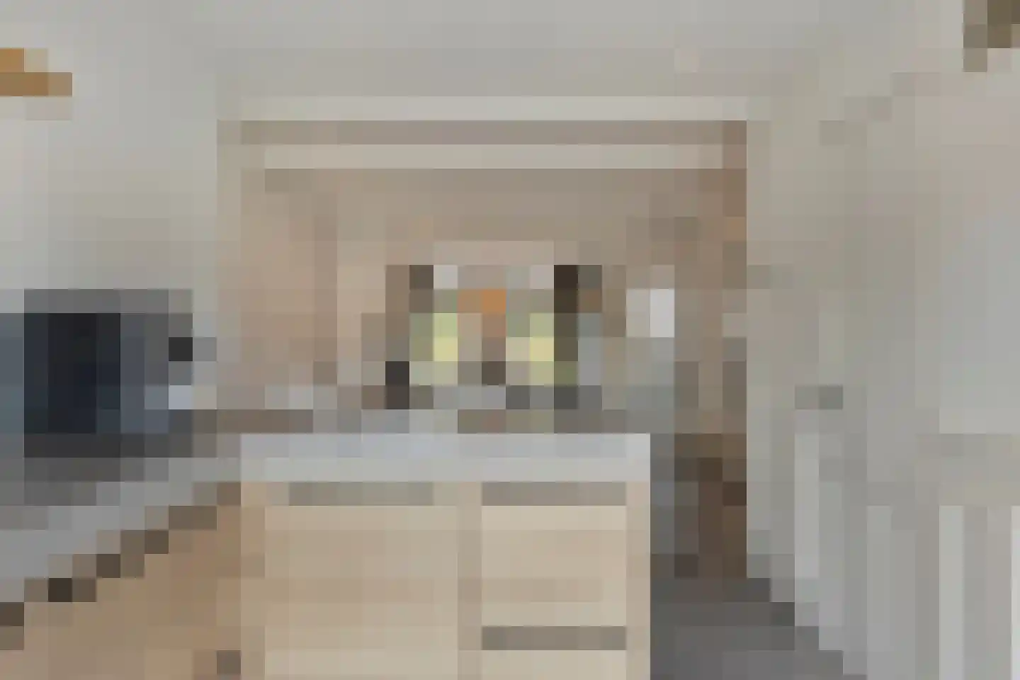 Oostdijk 45 Middelharnis thumbnail 16