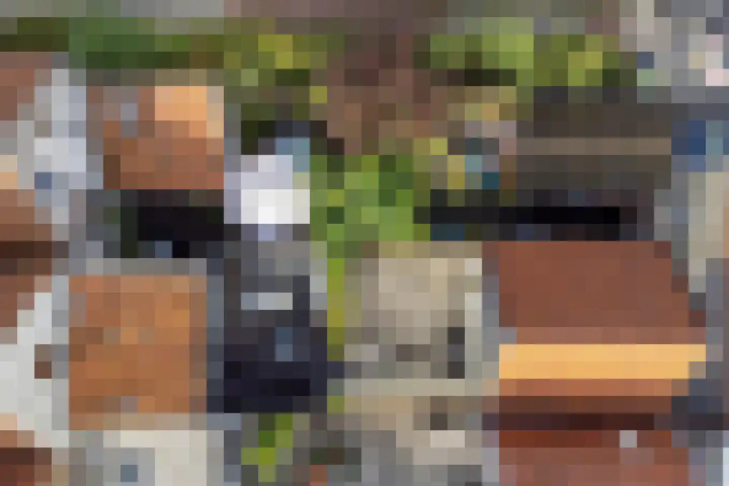 Oostdijk 45 Middelharnis thumbnail 37