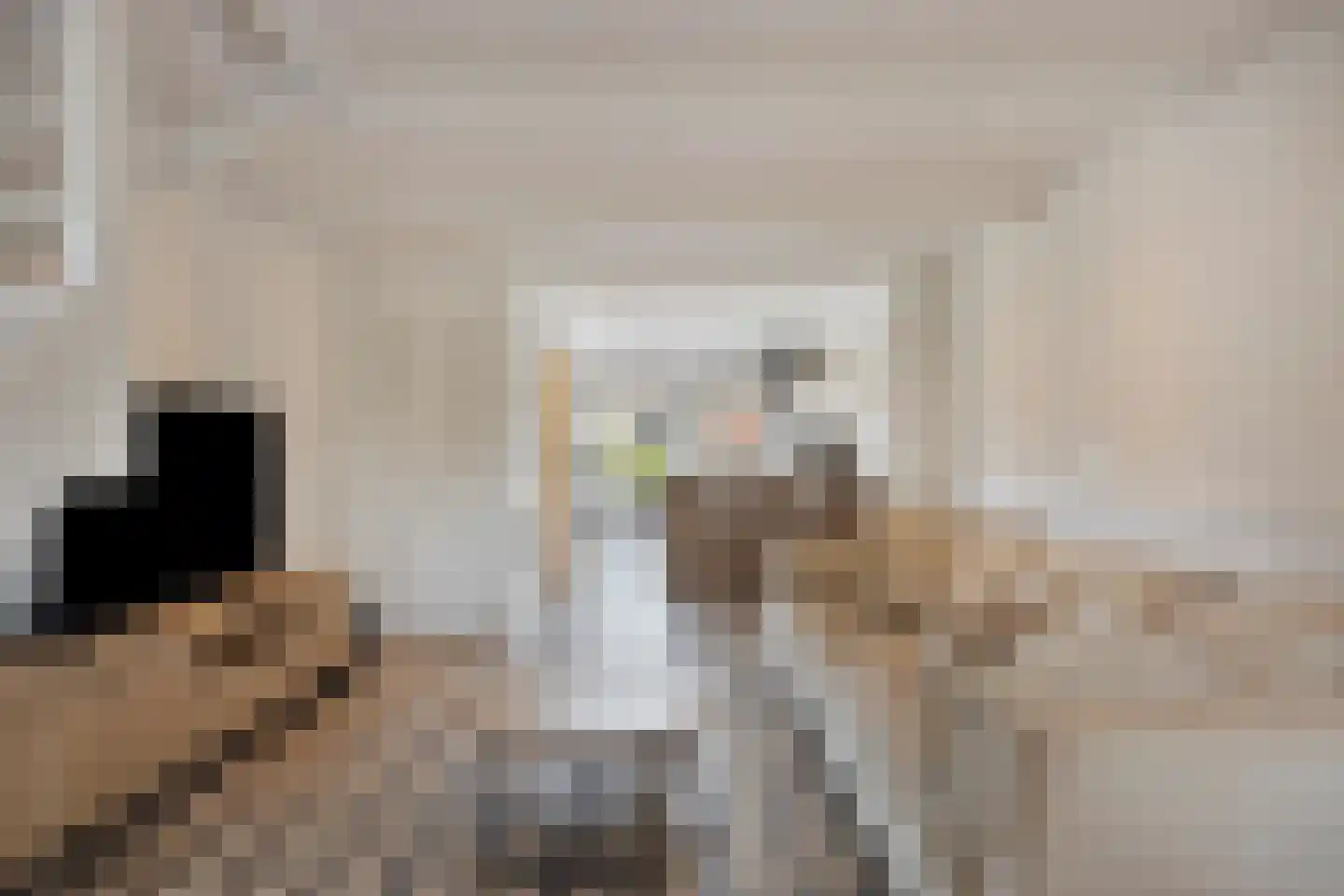 Oostdijk 45 Middelharnis thumbnail 4