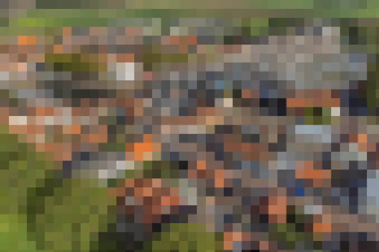 Oostdijk 45 Middelharnis thumbnail 41