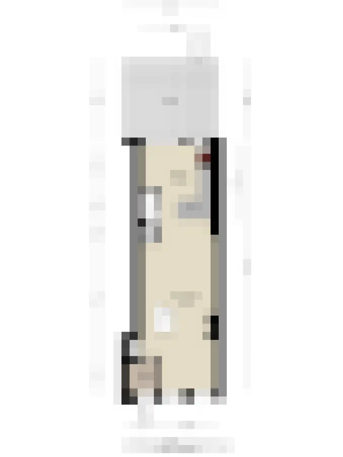Oostdijk 45 Middelharnis thumbnail 43
