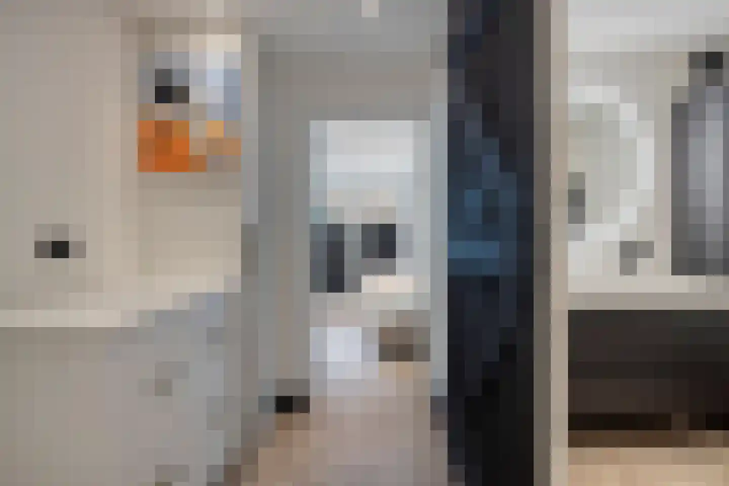 Oostdijk 45 Middelharnis thumbnail 6