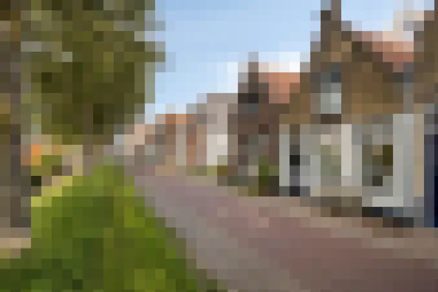 Oostdijk 45 Middelharnis thumbnail 8