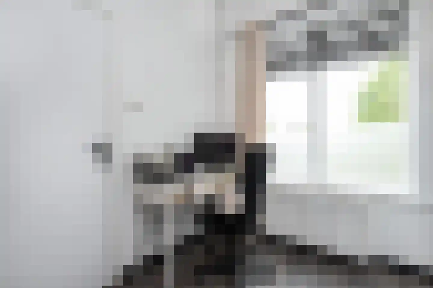 Oostdijk 67 Middelharnis thumbnail 12
