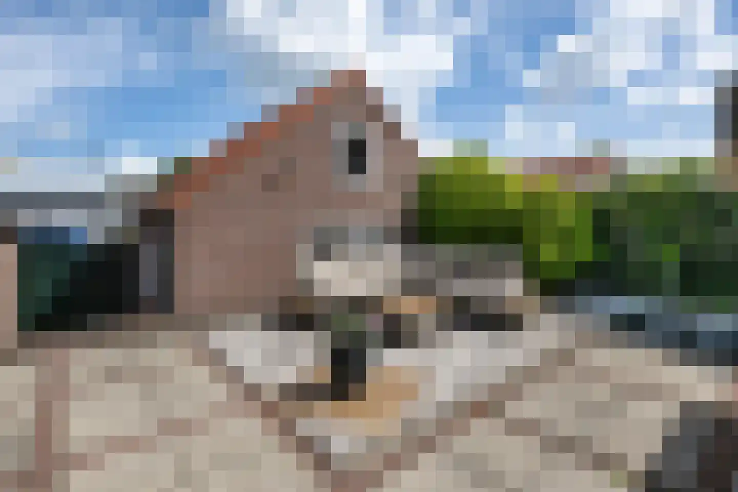 Oostdijk 67 Middelharnis thumbnail 24