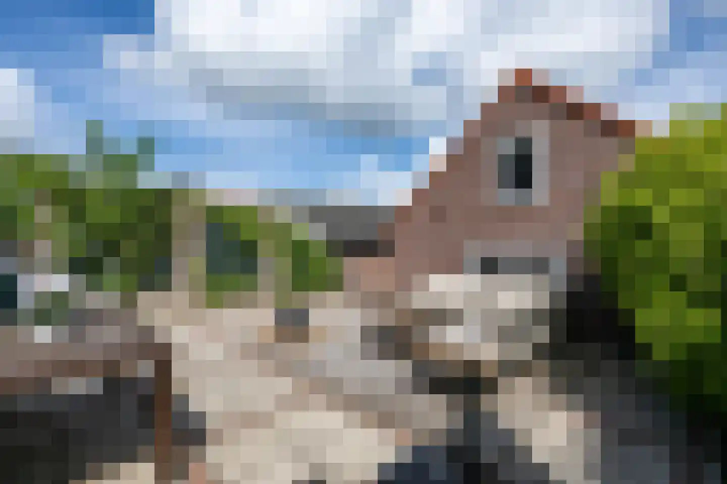 Oostdijk 67 Middelharnis thumbnail 25