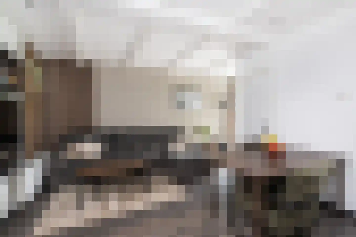 Oostdijk 67 Middelharnis thumbnail 6