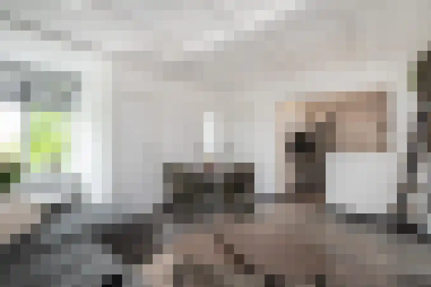 Oostdijk 67 Middelharnis thumbnail 7