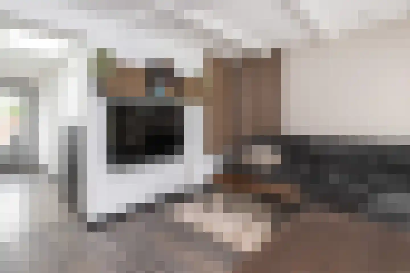 Oostdijk 67 Middelharnis thumbnail 8